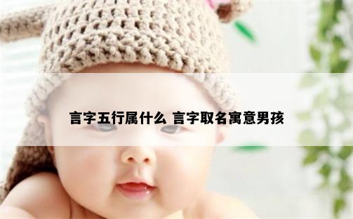 言字五行属什么 言字取名寓意男孩