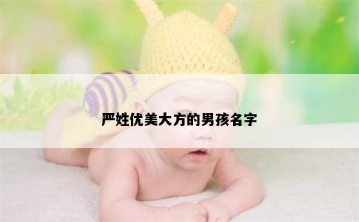 严姓优美大方的男孩名字